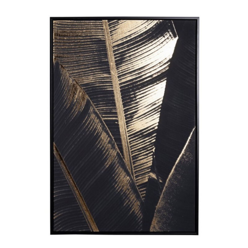QUADRO C-C BOLD 780 62X92